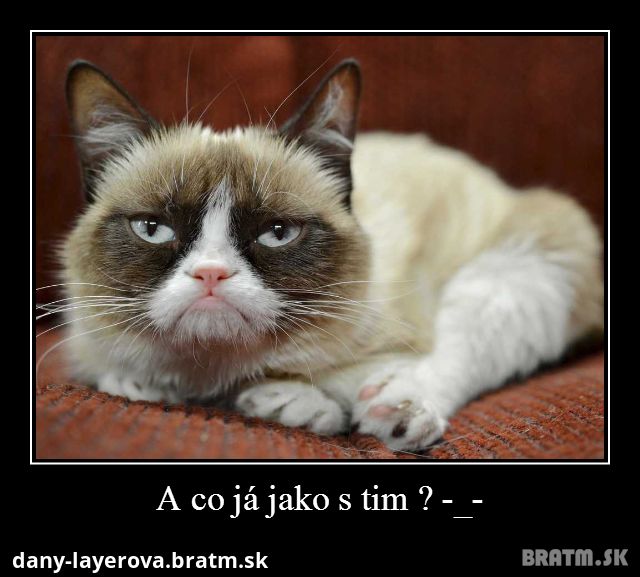 Grumpy cat