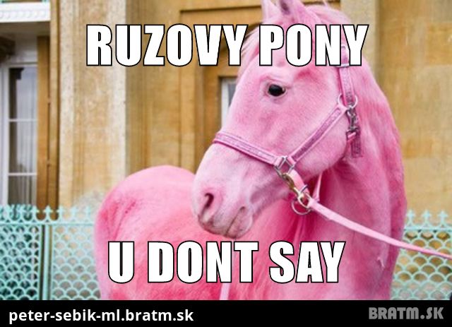 pony