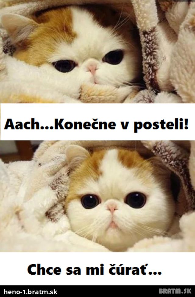 Zákon schválnosti, keď si konečne po celom dni ľahneme do postele :D