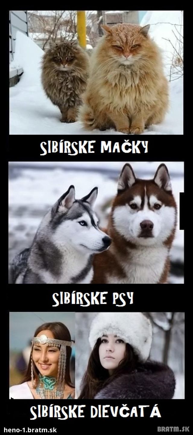 To najlepšie zo Sibíru :D