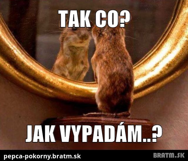 Tak co?