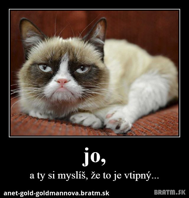 Grumpy cat