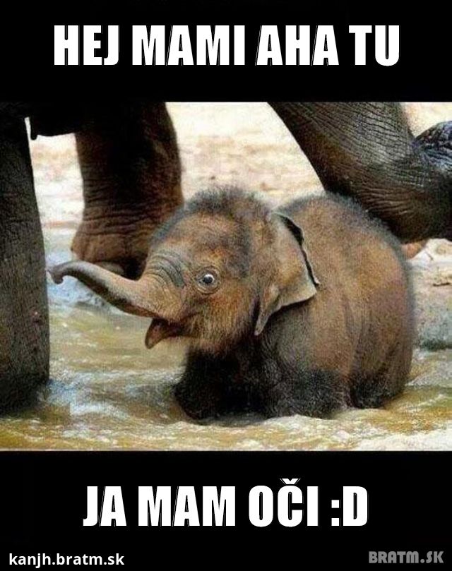 Ako sa malí sloník teší zo svojho života