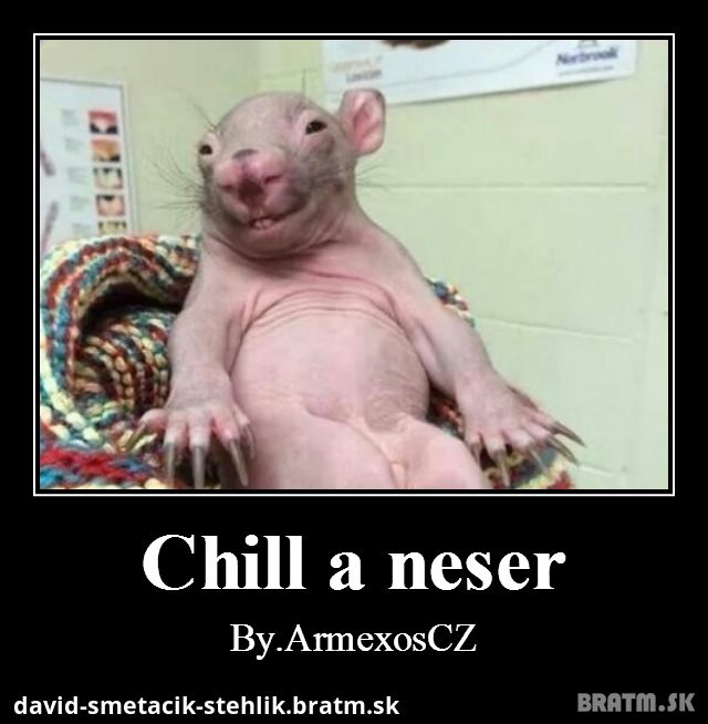 Chill a neser