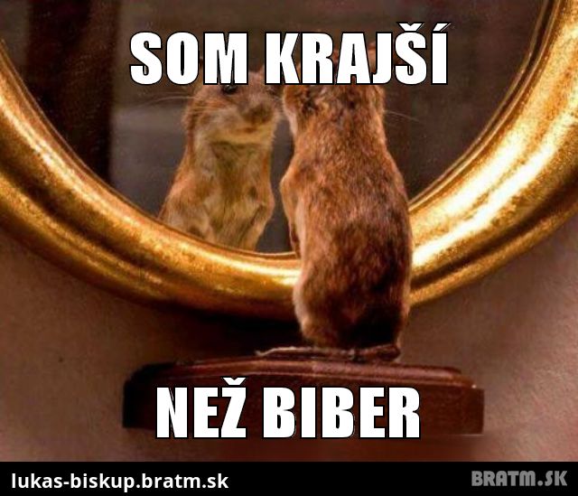 BiBeR