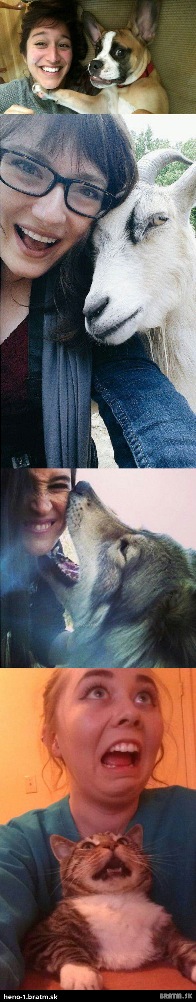 (4 foto) Top zvieracie selfie, ktore sa dostali na net! :) Cast 2