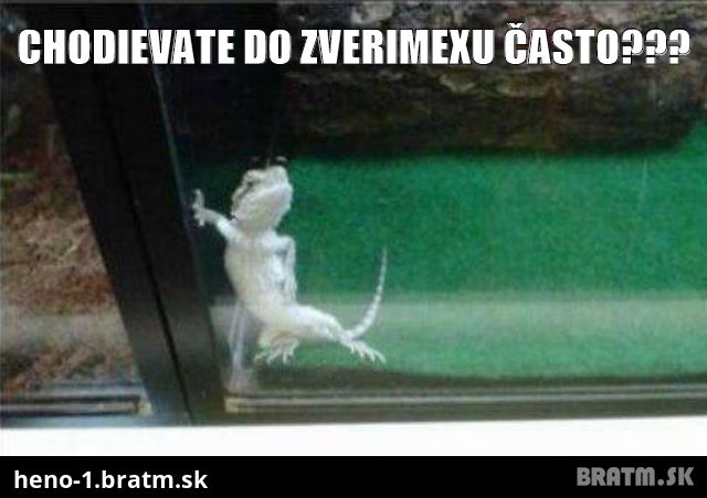 Chodievate do zverimexu často :D :D :D