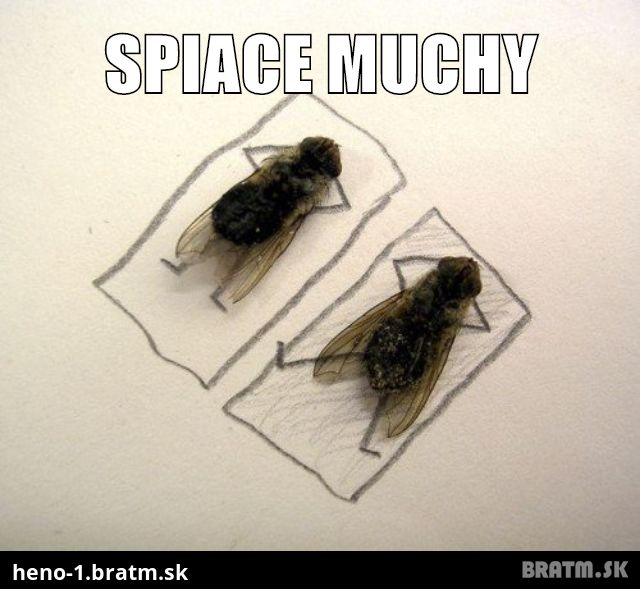 Spiace muchy :D :)