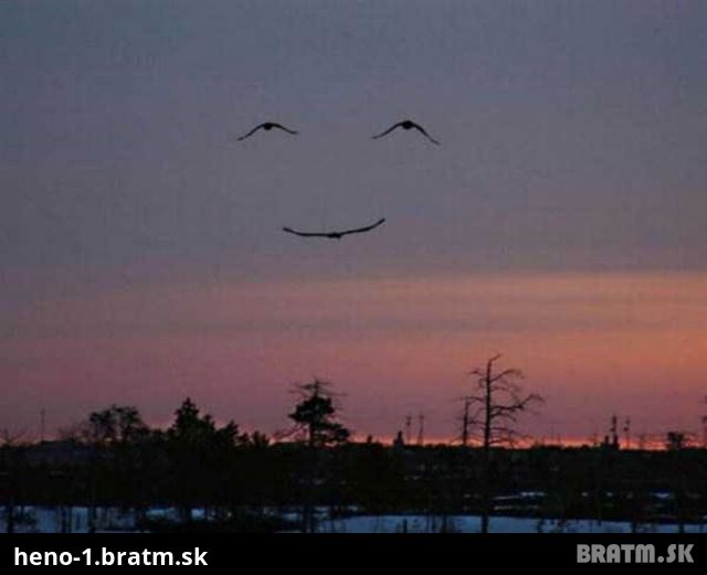Príroda sa usmieva :) :)