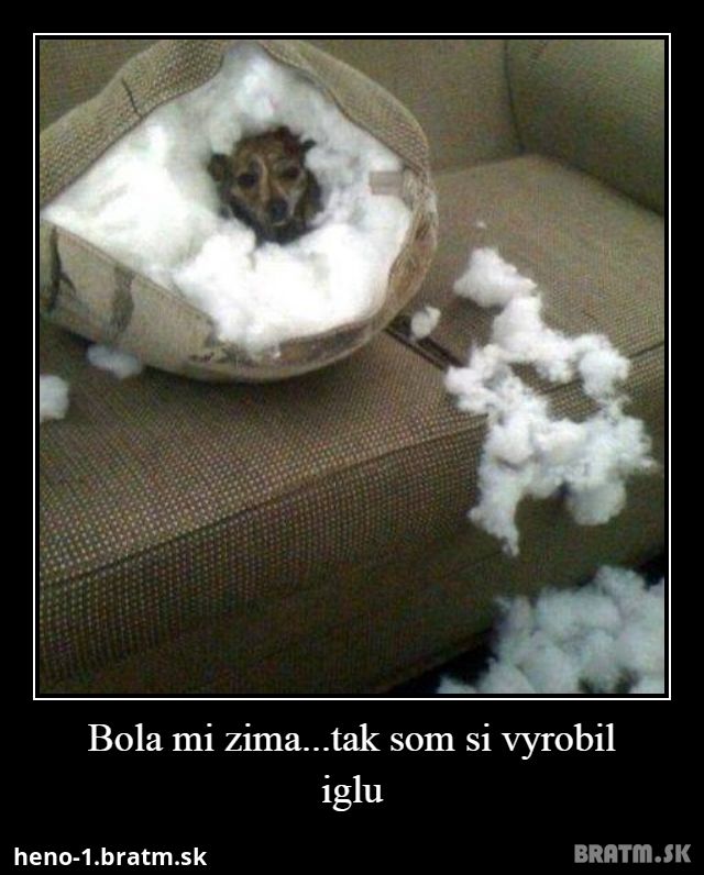 Bola mi zima...tak som si vyrobil iglu :)