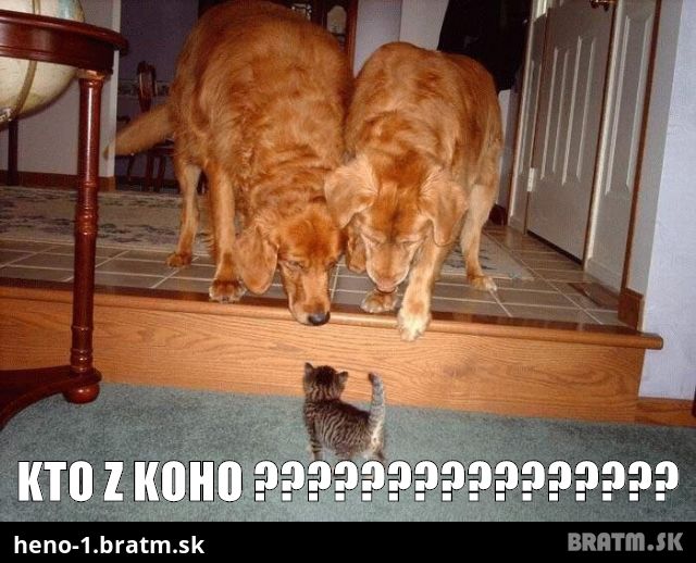 Kto z koho ???????????????? :) :D