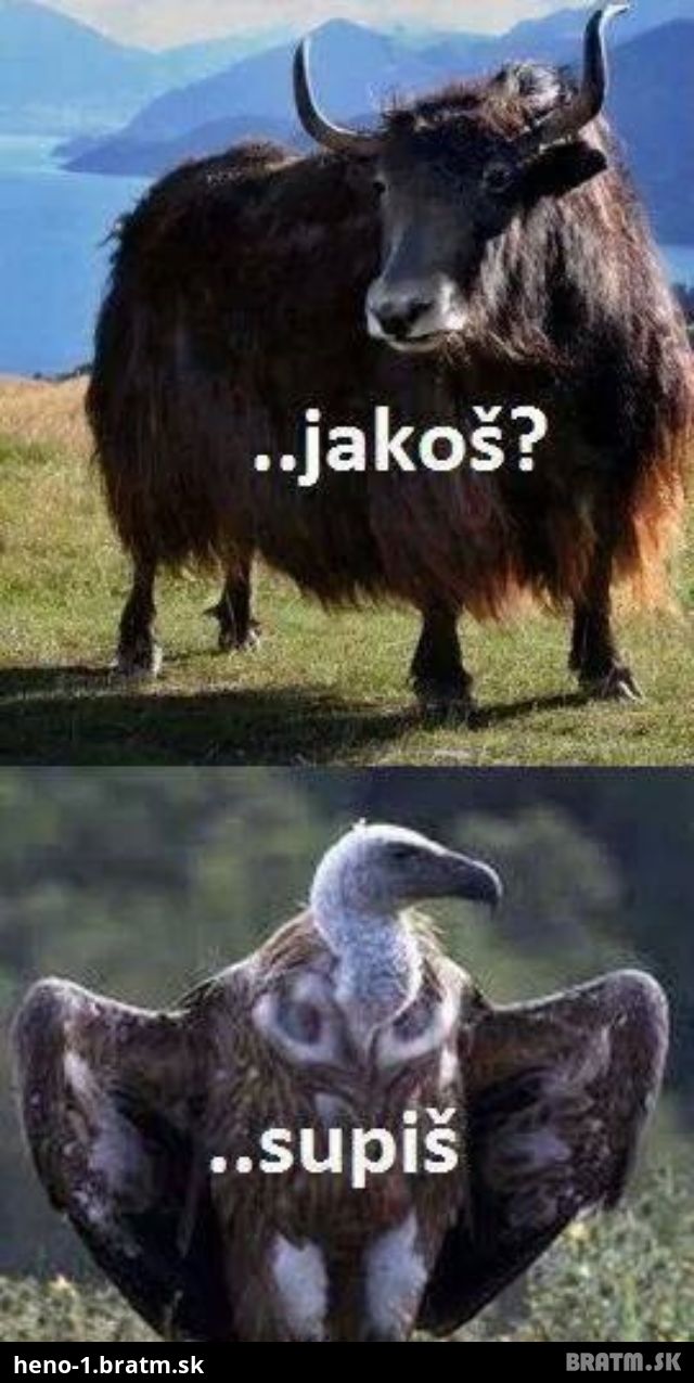 Ako sa máš??? :) :)