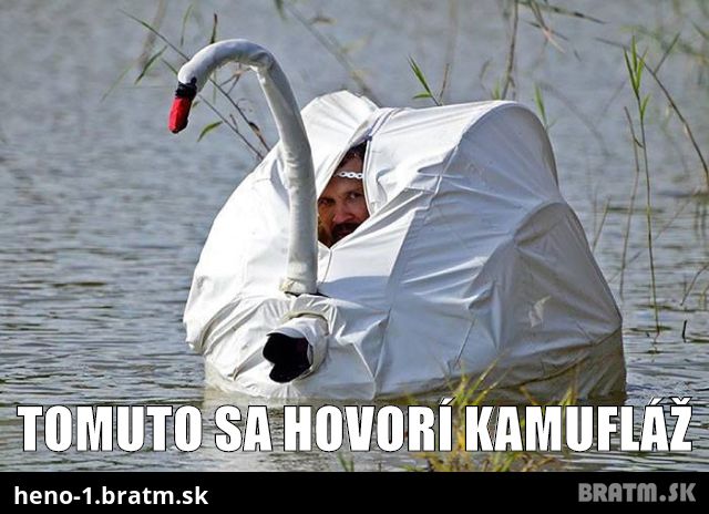 Tomuto sa hovorí kamufláž :D :D :)