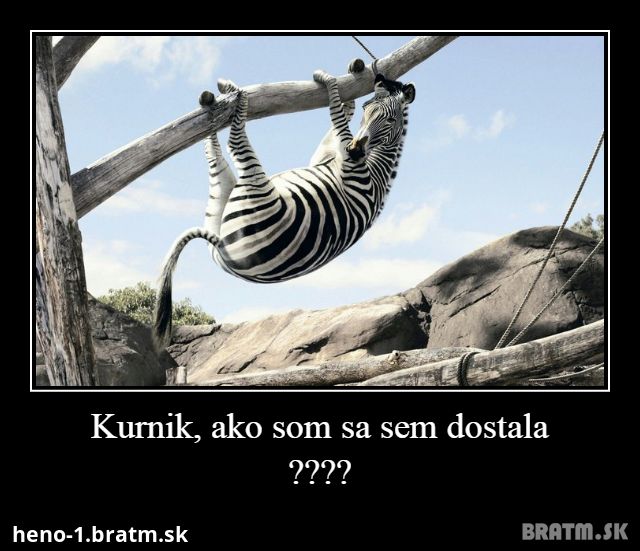 Kurnik, ako som sa sem dostala :) ????