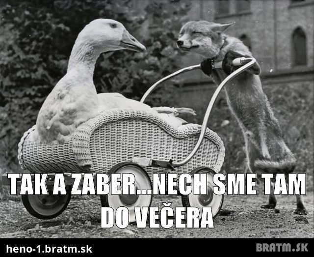 Tak a zaber...nech sme tam do večera :)