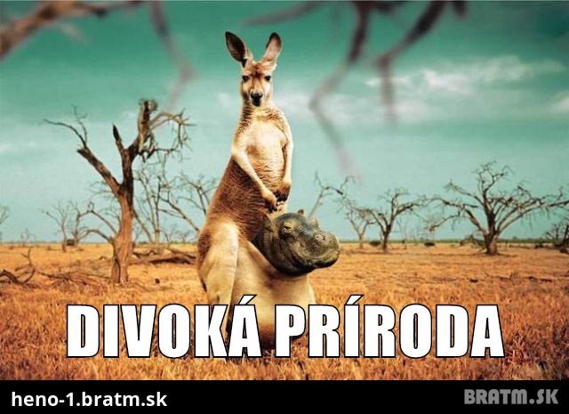 Divoká príroda :O