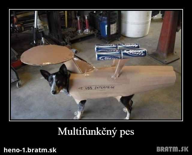 Multifunkčný pes :)