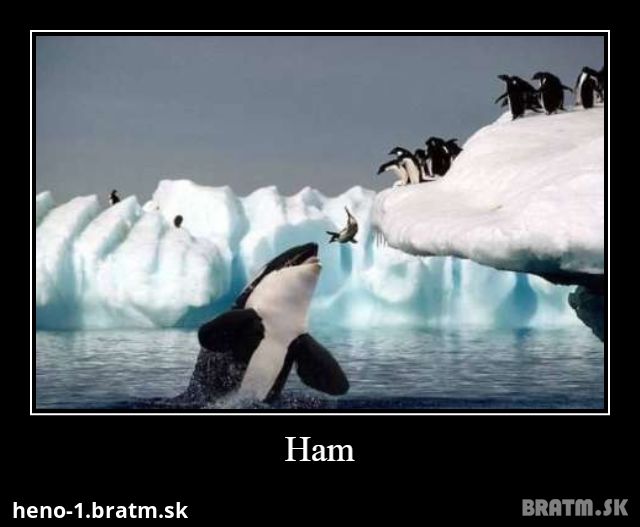 Ham :D