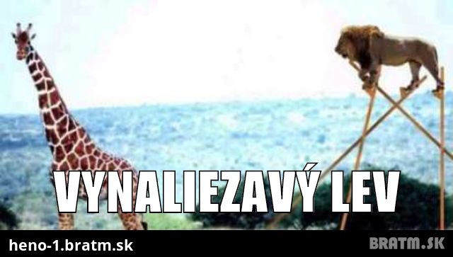 Vynaliezavý lev :D :)