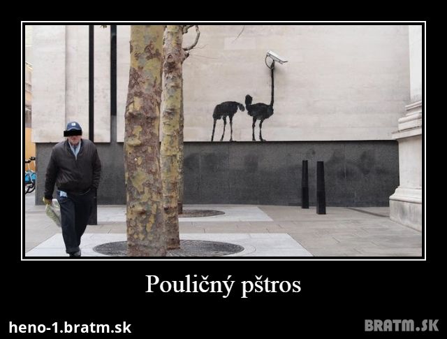 Pouličný pštros :)