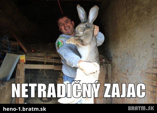 Netradičný zajac :O