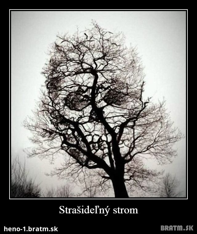 Strašideľný strom :)