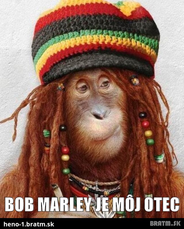 Bob Marley je môj otec :O