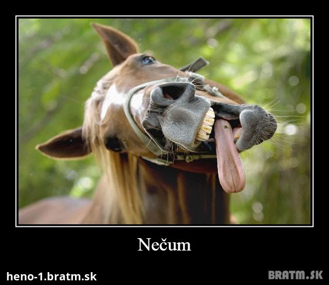 Nečum