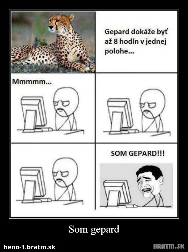 Som gepard