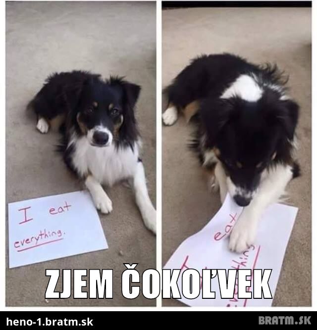 Zjem čokoľvek