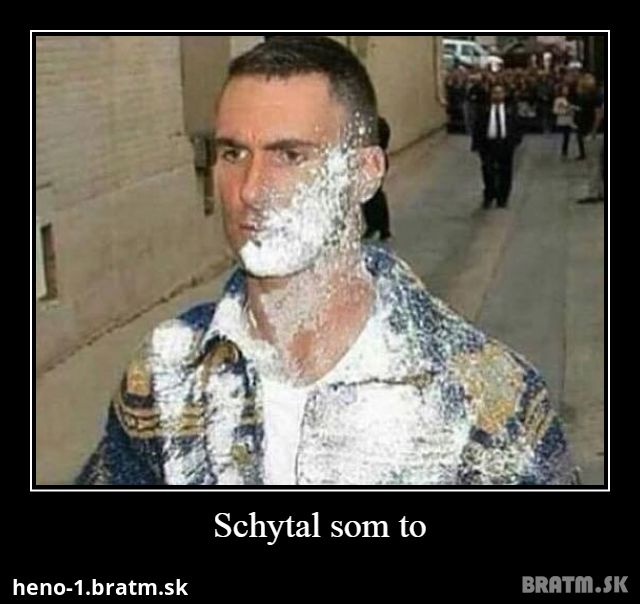 Schytal som to