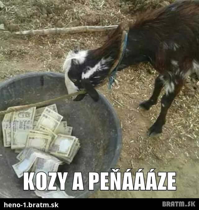 kozy a peňáááze