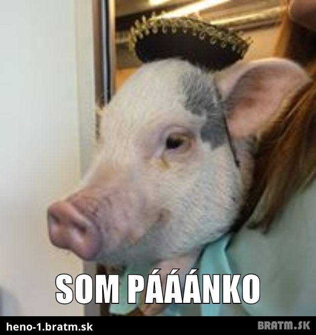 Som pááánko