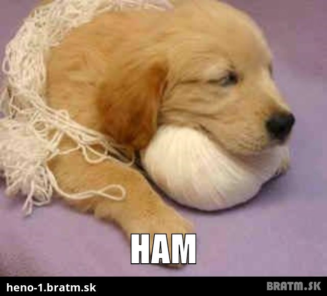 Ham