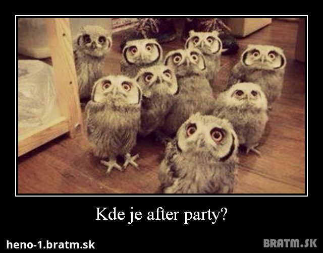 Kde je after party?