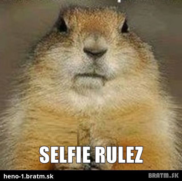 Selfie rulez