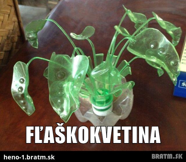 Fľaškokvetina