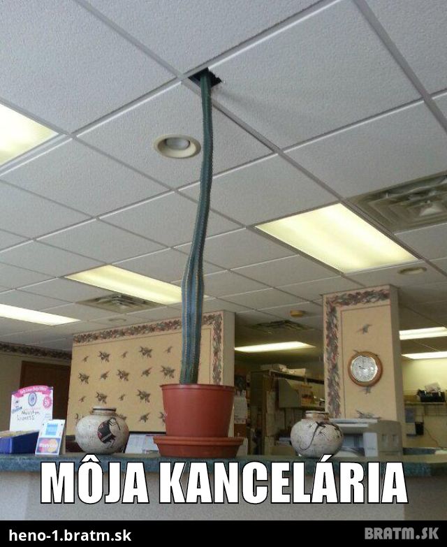 Môja kancelária