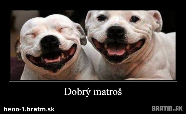 Dobrý matroš