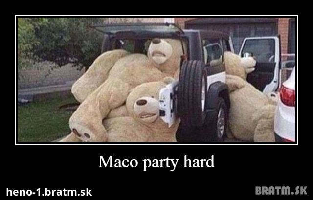 Maco party hard