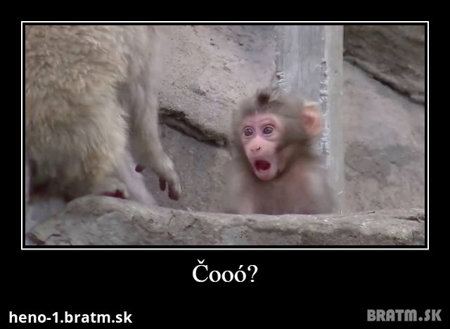 Čooó?