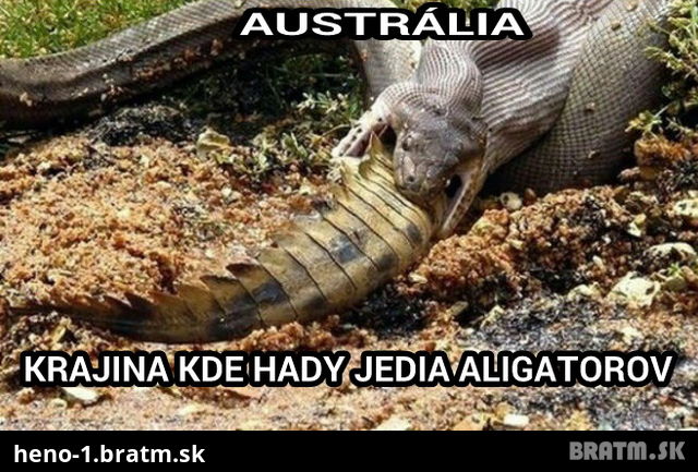 Vitajte v Australii... radsej nevychadzajte von! :D