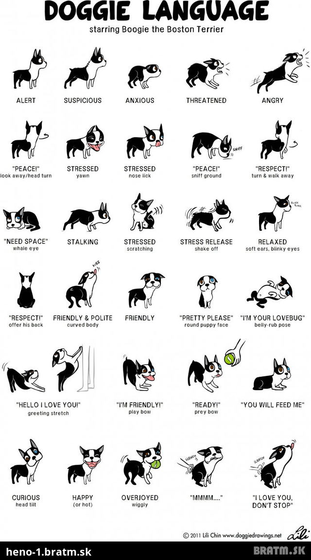 Spoznajte reč psa! Toto je super post :)