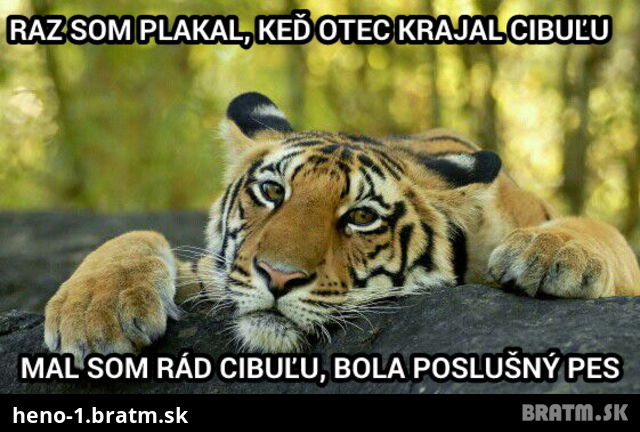 Viete kedy tiger place? :D