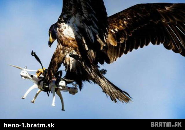 Uuffff.. majitel drona prisiel o svoju hracku velmi kurioznym sposobom :D