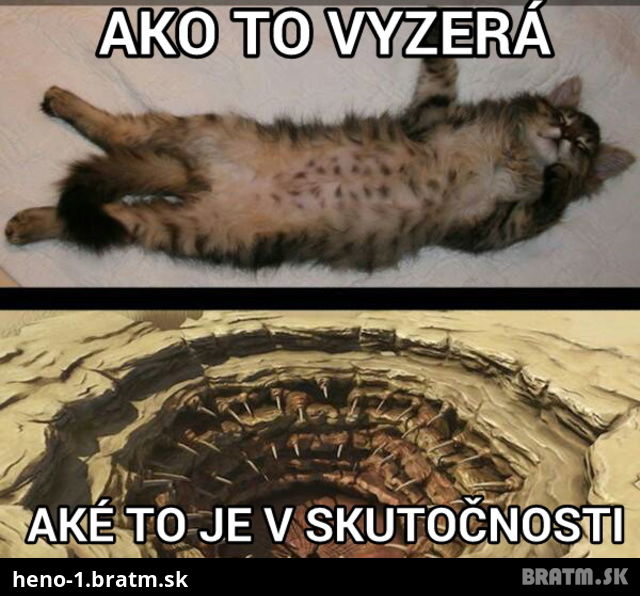 Suhlasíte s týmto? Chováte aj vy takéto stvorenie?:D