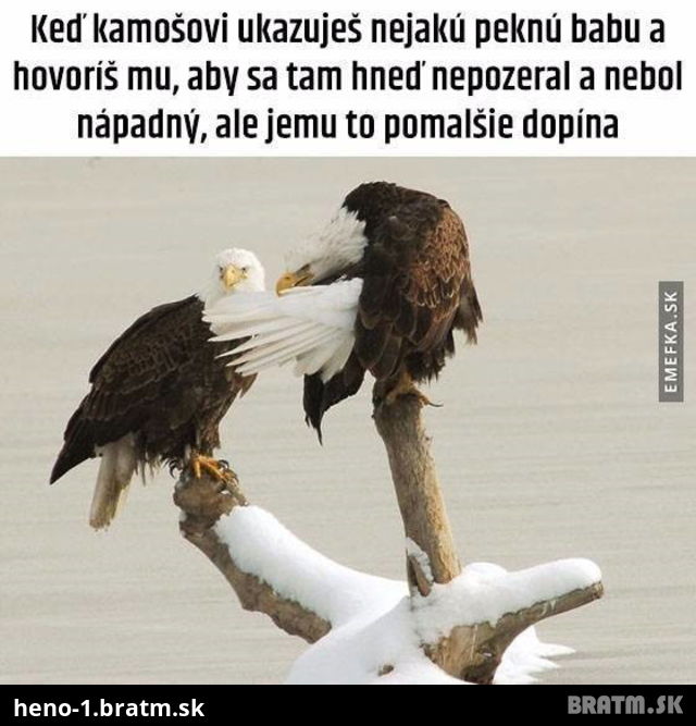 Zo zivota, ked mate nechapaveho kamarata :D