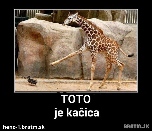 Toto je kačica! :D