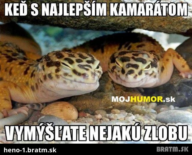 Ked mate nieco za lubom ... :D