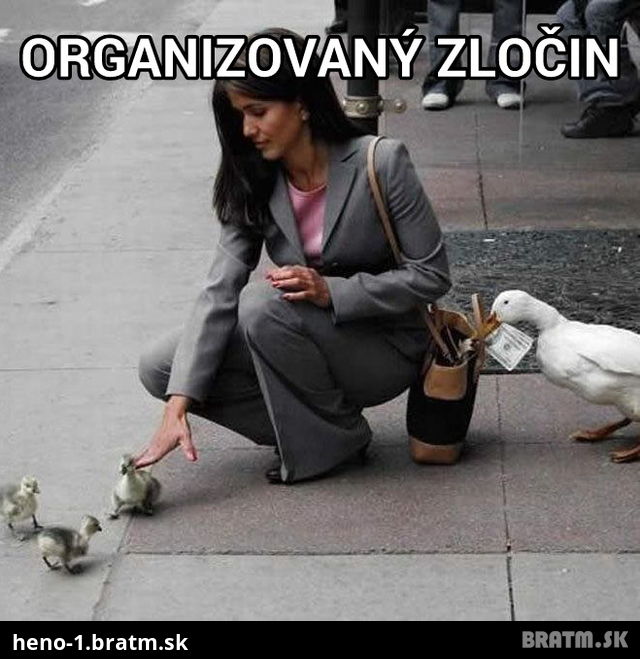 ZOO Organizovaný zločin v ulici mesta :D